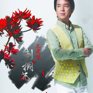 王建杰2013 – 刺桐花[乾坤][FLAC分轨]