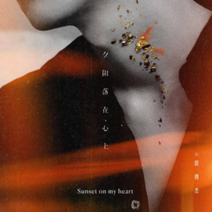 田鸿杰2025 – 因为有光，有点晃荡[哇唧唧哇娱乐][FLAC分轨]