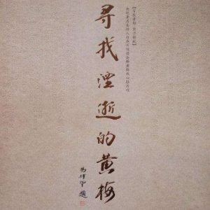 百段黄梅实力钜献2010《寻找湮逝的黄梅》10碟套装[WAV+CUE]