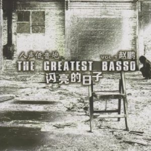 赵鹏2024 -《闪亮的日子HQⅡ》头版限量编号[WAV+CUE]