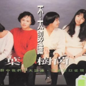 叶树茵1991-不太认识[新笛][WAV+CUE]