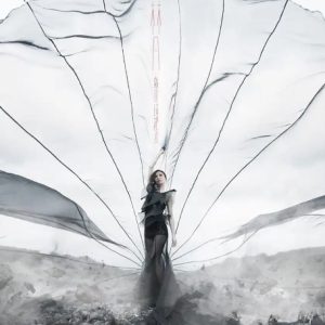 林凡2014 – 岁月这把刀[WAV+CUE]