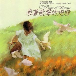 群星1996 -《东方的天使之音VOL.4 乘着歌声的翅膀》台湾首版[WAV+CUE]