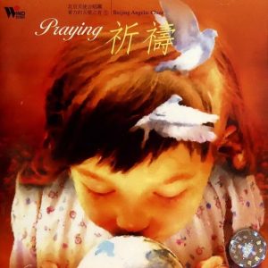 群星2001 – 东方的天使之音VOL.9 祈祷[台湾首版][WAV+CUE]