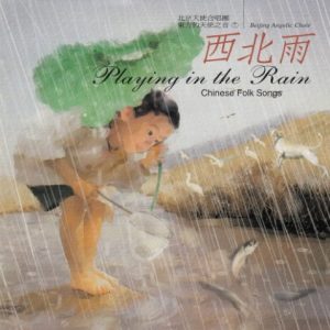 群星1998-《东方的天使之音VOL.7西北雨》台湾首版[WAV+CUE]