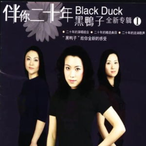 二十年的演唱组合-黑鸭子《伴你二十年Ⅰ全新专辑》[WAV整轨]