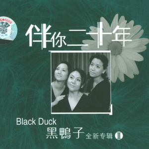 二十年的演唱组合-黑鸭子《伴你二十年Ⅱ全新专辑》[WAV整轨]