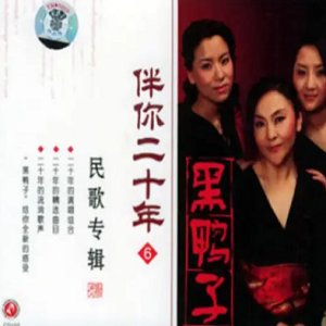 二十年的演唱组合-黑鸭子《伴你二十年Ⅵ 民歌专辑》[WAV整轨]