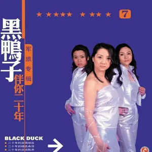 二十年的演唱组合-黑鸭子《伴你二十年Ⅶ 军旅专辑》[WAV整轨]