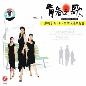 二十年的演唱组合-黑鸭子《伴你二十年Ⅸ》青春之歌① [WAV整轨]