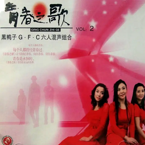 二十年的演唱组合-黑鸭子《伴你二十年Ⅹ》青春之歌② [WAV整轨]