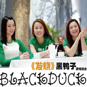 黑鸭子2005 – 发烧[首版][WAV+CUE]