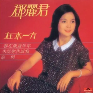 黑鸭子2004 – 怀念邓丽君[首版][WAV+CUE]