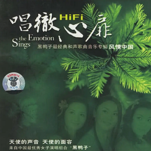 黑鸭子2008 – 唱彻心扉[首版][WAV+CUE]