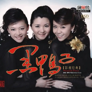 黑鸭子2008 – 影视经典·珍藏版[首版][WAV+CUE]
