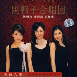 黑鸭子2008 – 美丽人生 DTS[发烧版][WAV+CUE]