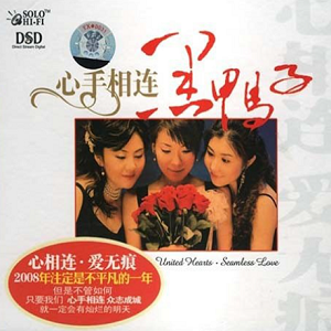 黑鸭子2008 – 心手相连[首版][WAV+CUE]