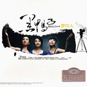 经典名曲 最熟悉的歌《黑鸭子·梦中人》2CD WAV