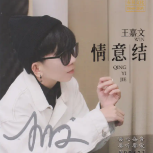 王嘉文《情意结HQ》头版限量版[低速原抓WAV+CUE]