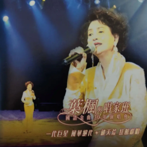 群星2002-叶枫与唱家班国语金曲30年演唱会2CD[寰宇][WAV+CUE]