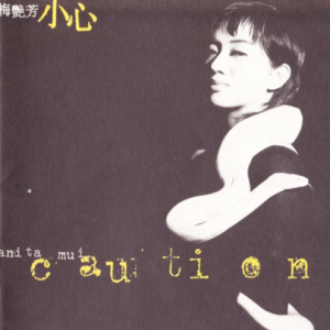 梅艳芳.1994 – 小心[滚石][WAV+CUE]