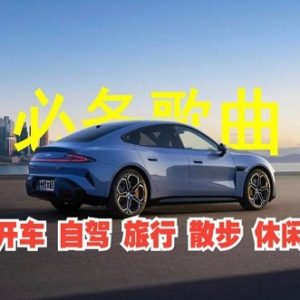 车载音乐大合集 豪车必备[MP3/wav][80.1GB]