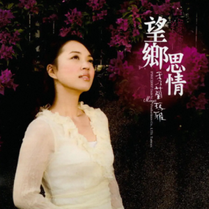 秀兰玛雅2007-望乡思情[大旗唱片][WAV整轨]