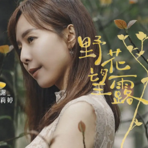 谢莉婷.2020 – 野花望露[华特][FLAC分轨]