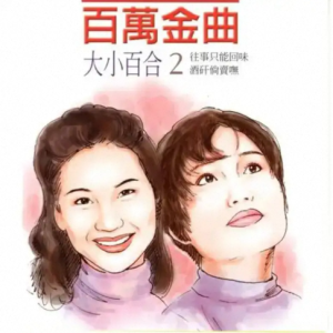 百合二重唱.1994－百万金曲2 往事只能回味[吉马][FLAC分轨]