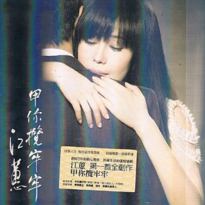 江蕙2008-甲你揽牢牢[台湾][WAV整轨]
